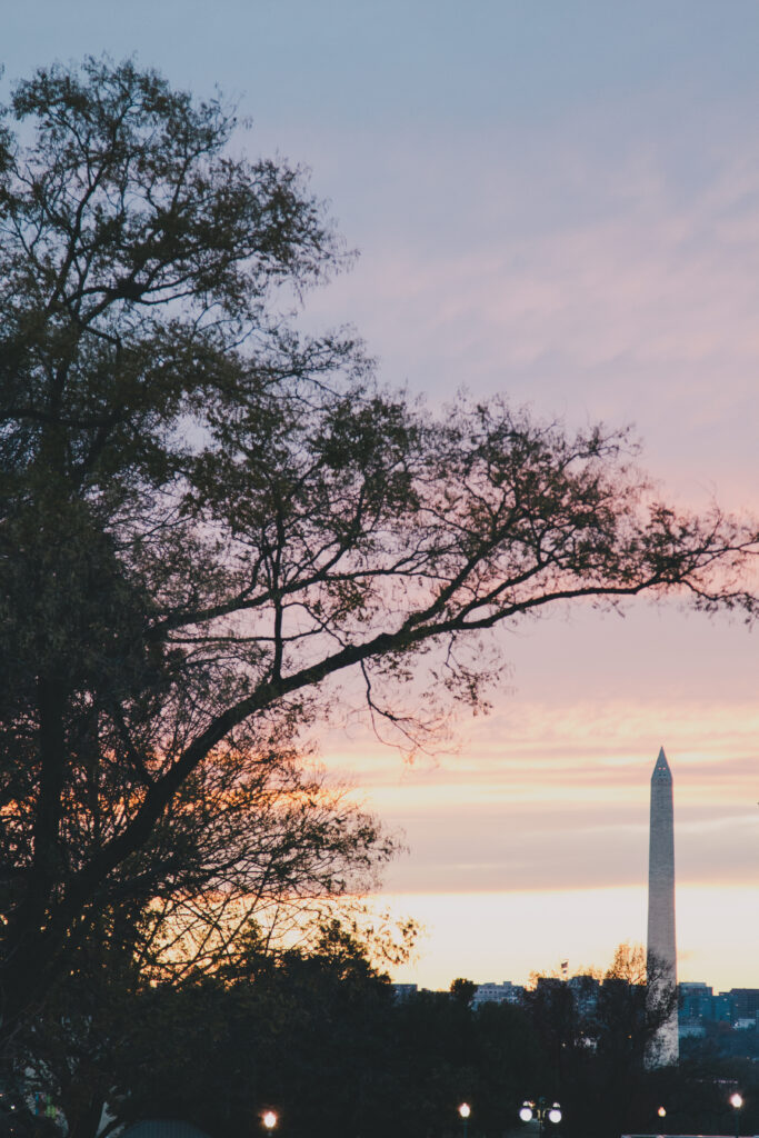 Why D.C. Area Life Sciences Companies Trust Us